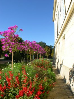 Blumenbeet am Schloss Charlottenhof